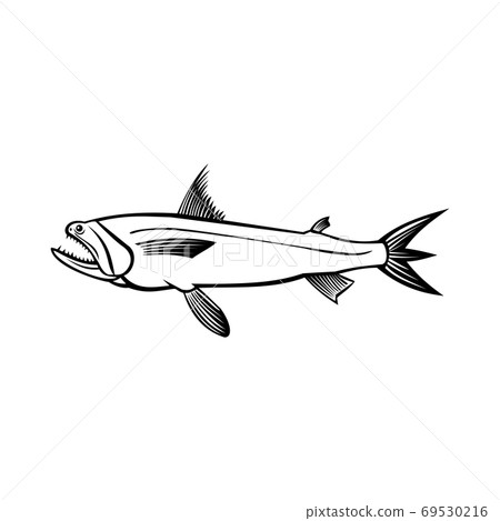 Bombay Duck Fish Harpadon Nehereus Bummalo, Bombil Boomla or Strange Fish Side View Stencil Black and White Retro Bombay Duck Fish Harpadon Nehereus Bummalo, Bombil Boomla or Strange Fish Side View Stencil Black and White Retro 69530216