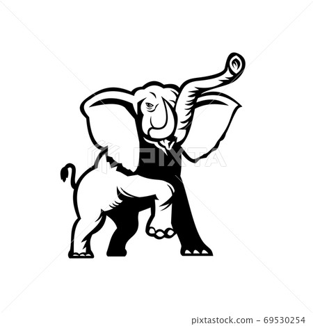 African Elephant Loxodonta African Bush Elephant or African Forest Elephant Prancing Stencil Black and White African Elephant Loxodonta African Bush Elephant or African Forest Elephant Prancing Stencil Black and White 69530254