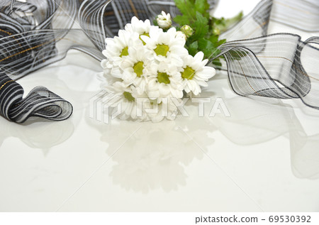 White chrysanthemum flower and black ribbon / funeral image 69530392