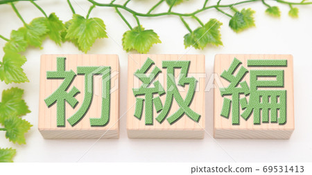 初學者版 69531413