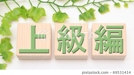 進階版 69531414