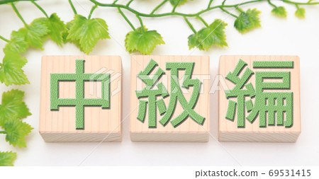 中間的 69531415