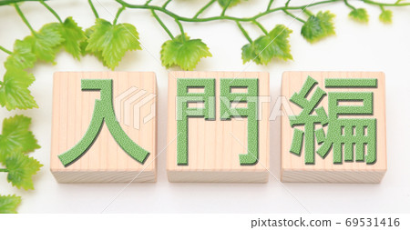 Introduction 69531416