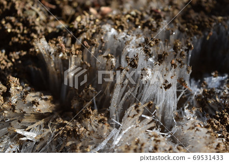 踩著霜柱前進的山路 69531433