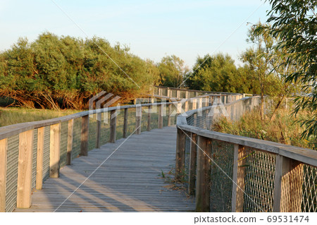 Estonia travel wild nature sunset wooden boardwalk Estonia travel wild nature sunset wooden boardwalk 69531474