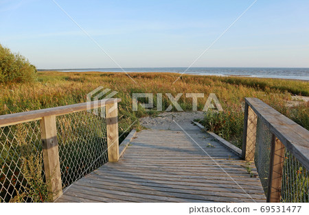 Estonia travel nature sunset boardwalk Baltic sea 69531477