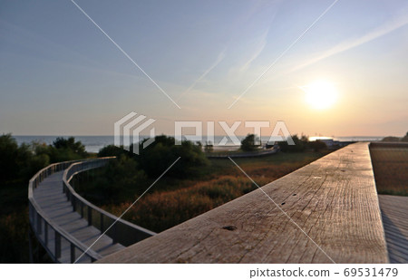 Estonia travel nature sunset boardwalk Baltic sea Estonia travel nature sunset boardwalk Baltic sea 69531479