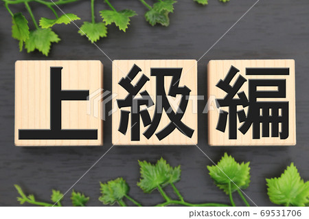 Advanced edition 69531706