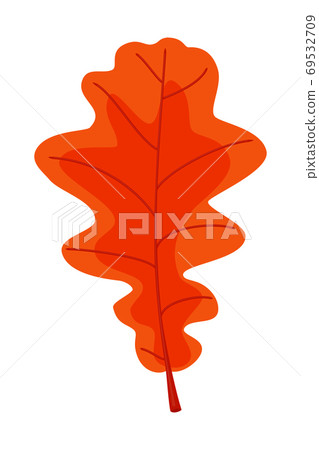 Cartoon red oak leaf Cartoon red oak leaf 69532709