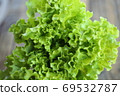 A bird's-eye view of sunny lettuce A bird's-eye view of sunny lettuce 69532787
