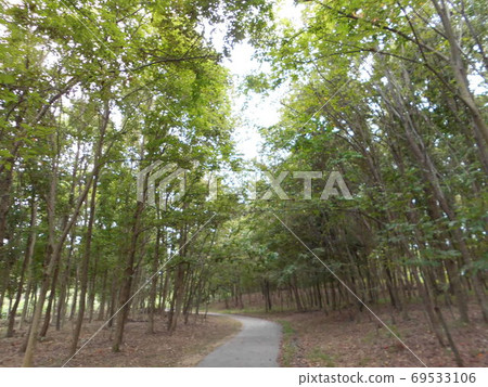 Day walking path 69533106