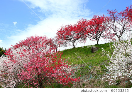 Hanamo no Sato Hanamo no Sato 69533225