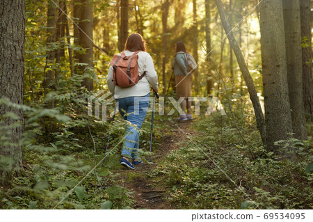 Friends in the forest Friends in the forest 69534095