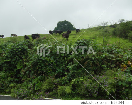 Ranch Ranch 69534433