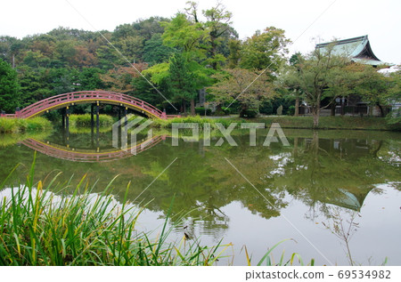 著名寺廟的淨土風格的花園（橫濱金澤區） 69534982