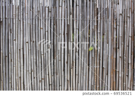 Close-up Bamboo texture and side shadows with natural patterns backgrounds, decoration wallpaper, empty pattern backdrop 69536521