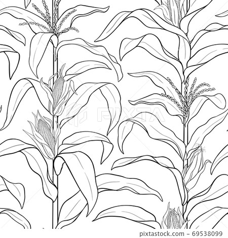 corn vector pattern 69538099