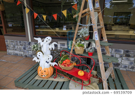 England Hill Autumn Flowers and Animals 69539709