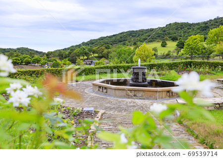 England Hill Autumn Flowers and Animals England Hill Autumn Flowers and Animals 69539714