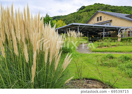 England Hill Autumn Flowers and Animals England Hill Autumn Flowers and Animals 69539715