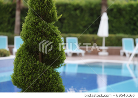Service in landscape design and maintenance of plants. Service in landscape design and maintenance of plants. 69540166