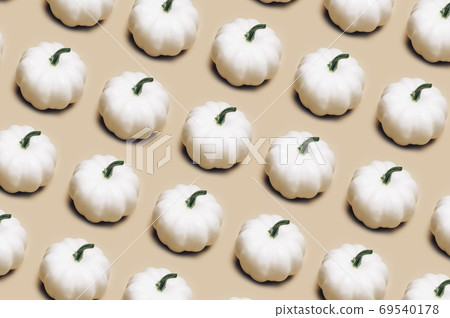 White Pumpkins as pattern. Autumn concept White Pumpkins as pattern. Autumn concept 69540178
