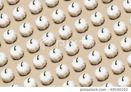 White Pumpkins as pattern. Autumn concept White Pumpkins as pattern. Autumn concept 69540202