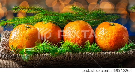Fresh Clementines or Tangerines, Xmas Lights and Xmas Tree Branc 69540263