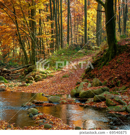 mountain river in autumn forest. rocks and fallen foliage on the mountain river in autumn forest. rocks and fallen foliage on the 69540875