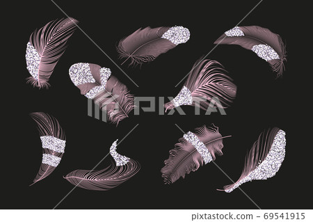 Vector gold,pink ,silver feathers collection... - Stock Illustration ...