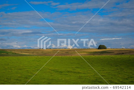 cows grazing near Prehistoric Standing Stones at Avebury in Wiltshire England cows grazing near Prehistoric Standing Stones at Avebury in Wiltshire England 69542114