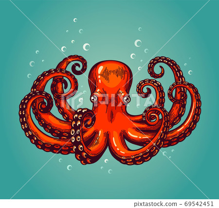 Octopus engraving. Vintage color engraving color illustration. Retro style card. Red octopus on blue background. 69542451