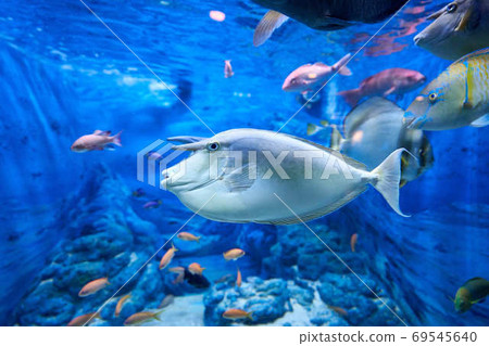 Tengehagi Tengehagi 69545640