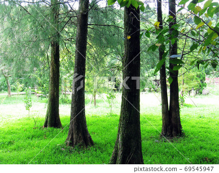 Deer Valley Water in Nantou 69545947