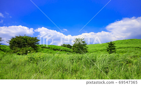 夏季大草原 69547365