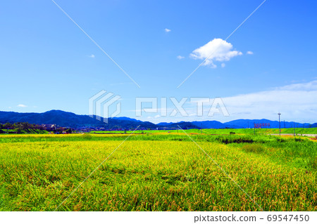 Scenery from a trolley train in Nishi-ku, Kyoto, Kameoka, trolley train, Kyoto, sightseeing spots [September] 69547450