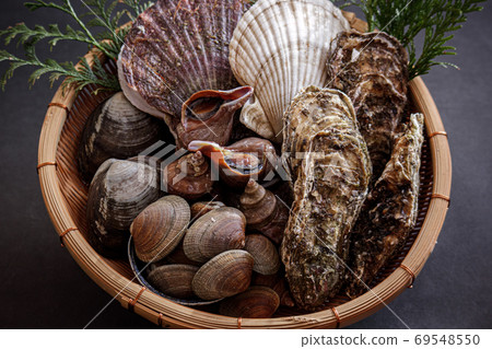 Shellfish 01 Shellfish 01 69548550