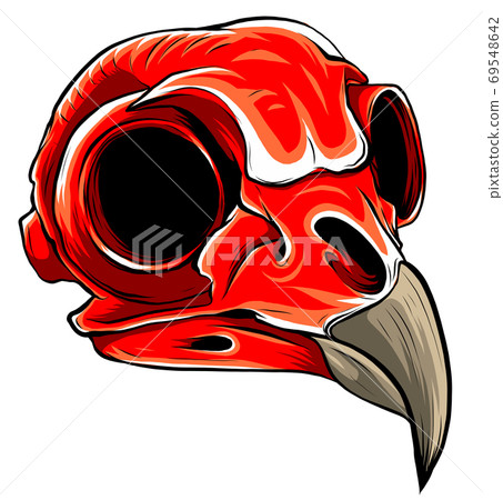 Realistic red bird skull. vector Illustration for designer on a white background. Realistic red bird skull. vector Illustration for designer on a white background. 69548642