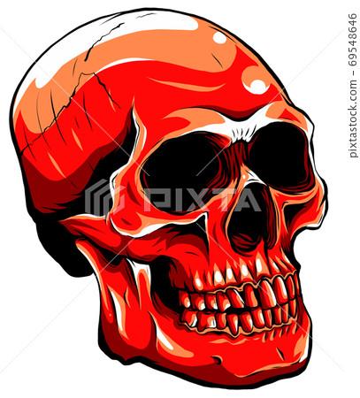 Realistic red skull. vector Illustration for designer on a white background. 69548646