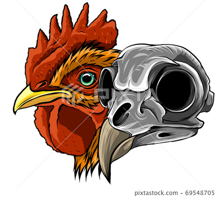 Sketch Chicken Skull vector and artwork illustration 69548705