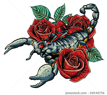 Detailed realistic scorpio in a decorative frame of roses. 69548756
