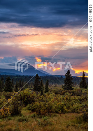 Beautiful Panoramic View of Canadian Landscape Beautiful Panoramic View of Canadian Landscape 69549916