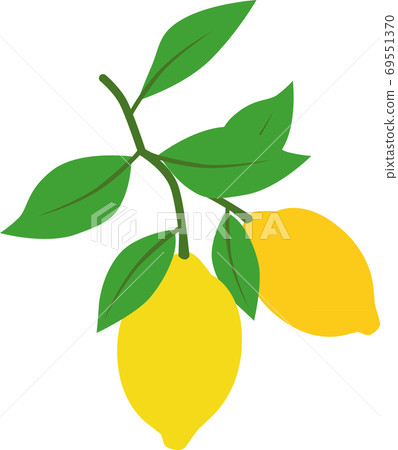 Lemon Lemon 69551370