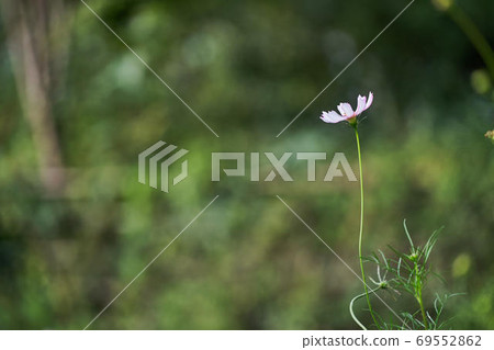 Autumn landscape Autumn landscape 69552862