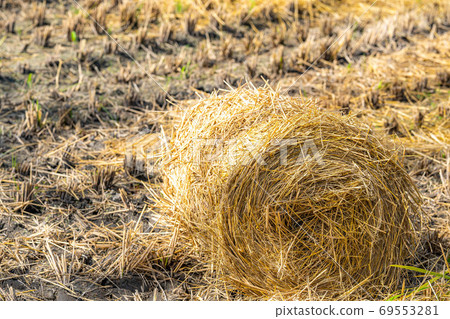Rice straw roll [Nagano Prefecture] 69553281