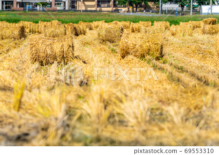 Rice straw roll [Nagano Prefecture] 69553310