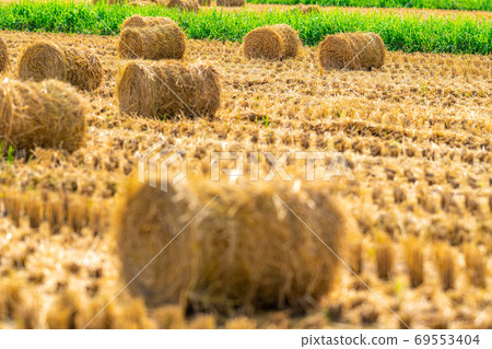 Rice straw roll [Nagano Prefecture] 69553404