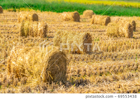 Rice straw roll [Nagano Prefecture] 69553438