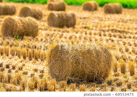 稻草卷[長野縣] 69553475