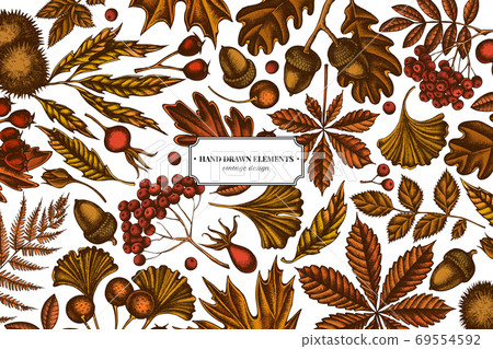 Colored elements design with fern, dog rose, rowan, ginkgo, maple, oak, horse chestnut, chestnut, hawthorn 69554592